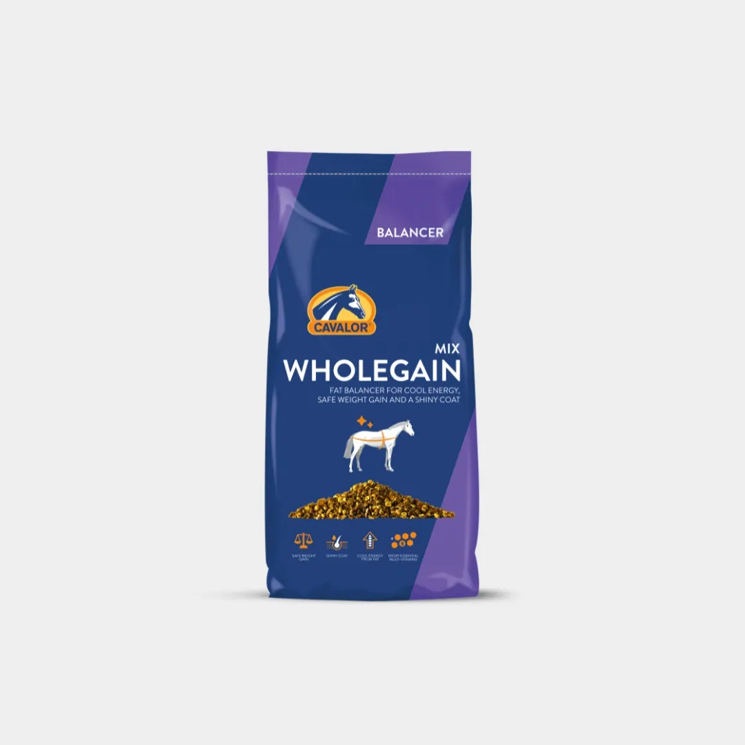 Orlux Eggfood dry large parakeets & parrots