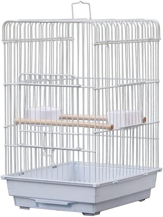 Orlux Eggfood dry large parakeets & parrots