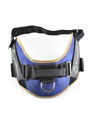 GF Dog Horseback band  IS9 S