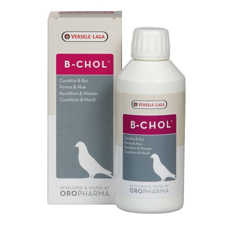 Orlux Eggfood dry large parakeets & parrots