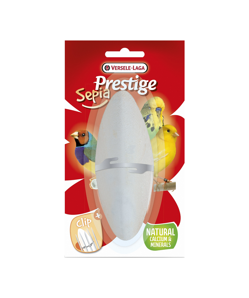 Orlux Eggfood dry large parakeets & parrots