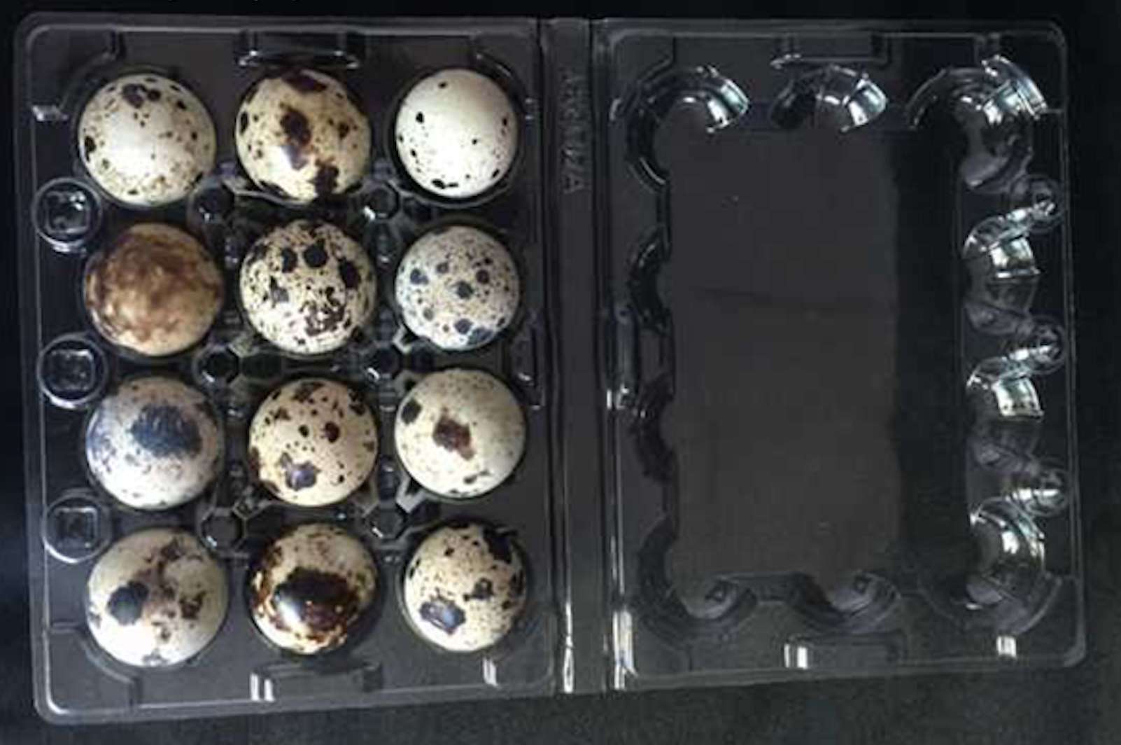 Orlux Eggfood dry large parakeets & parrots