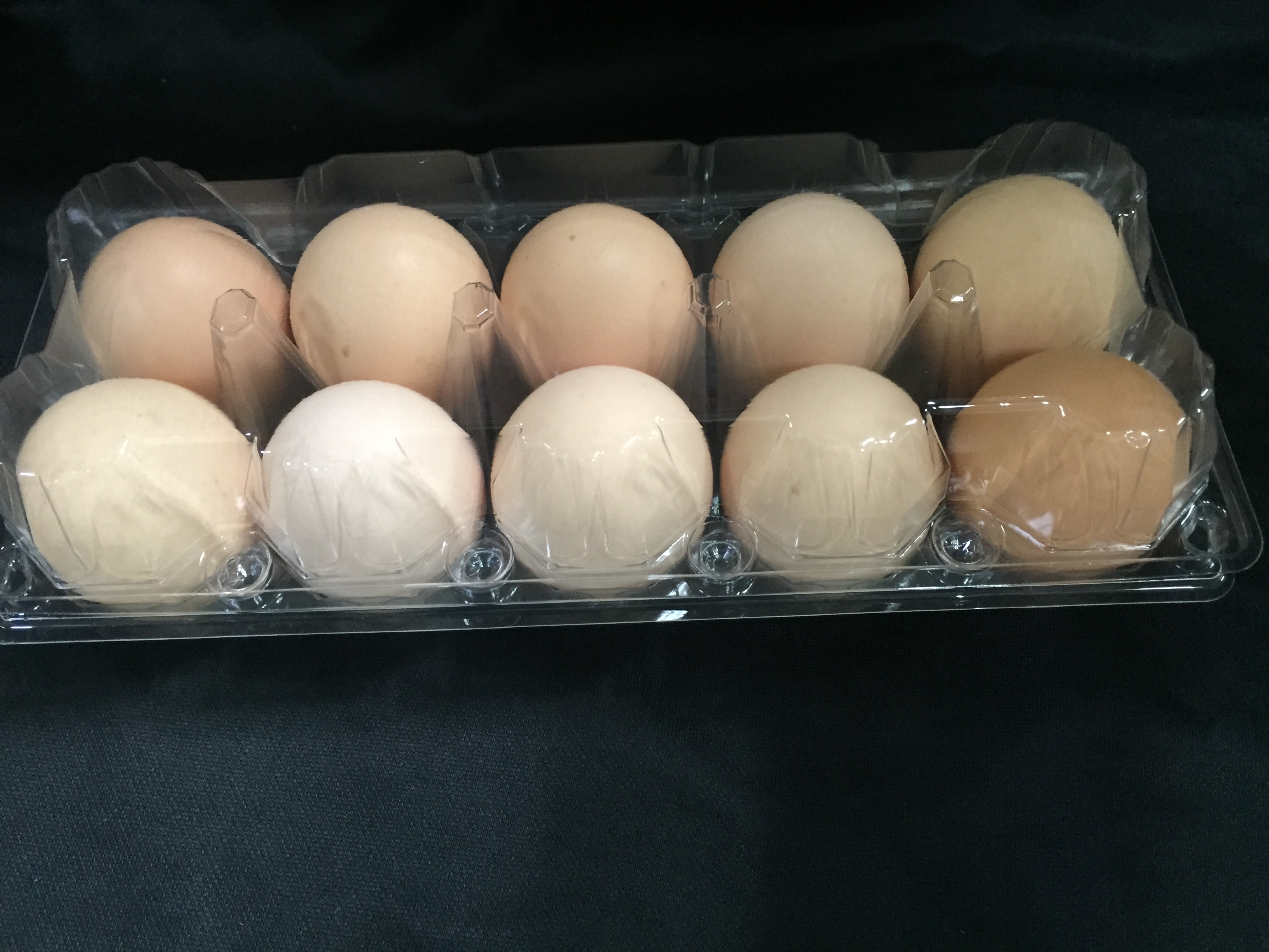 Orlux Eggfood dry large parakeets & parrots