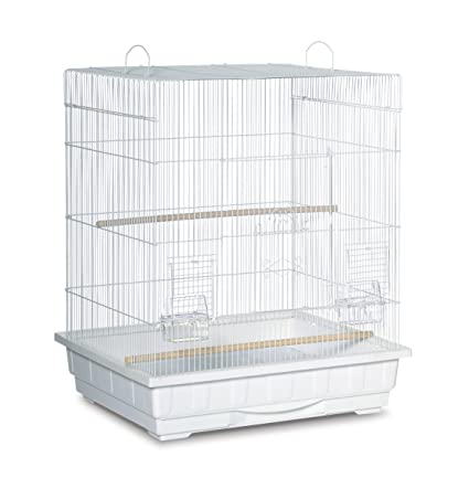 Orlux Eggfood dry large parakeets & parrots
