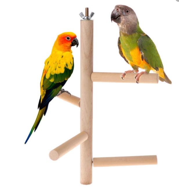 Orlux Eggfood dry large parakeets & parrots