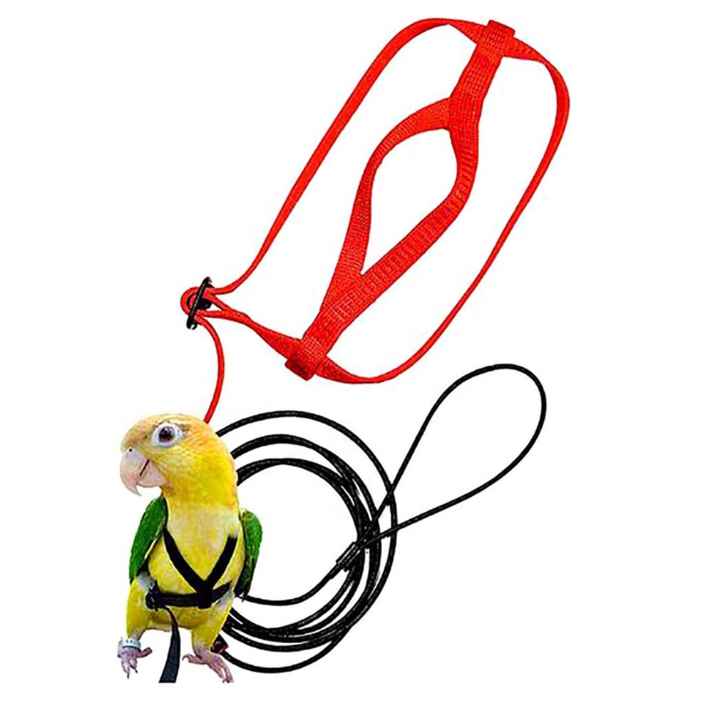 Parrot Harness Petite L184,H5cm