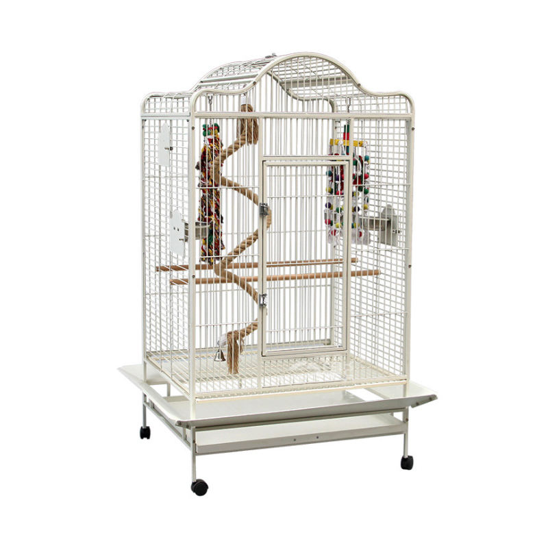 Orlux Eggfood dry large parakeets & parrots