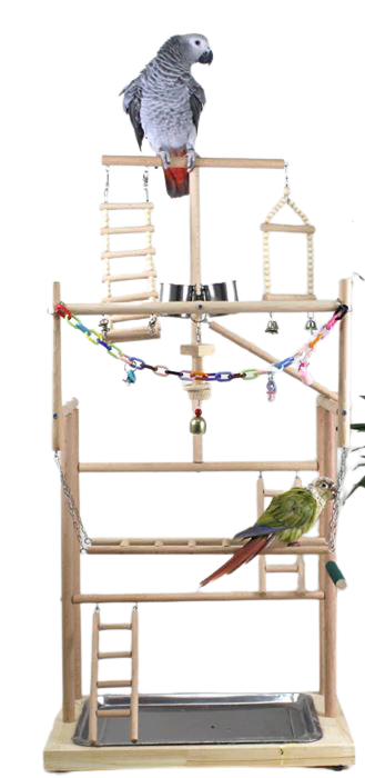 Orlux Eggfood dry large parakeets & parrots