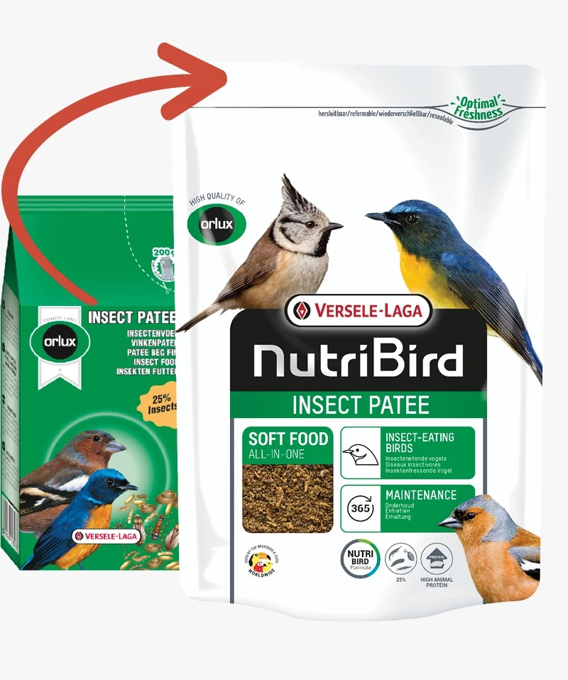 NB Insect Patee 1kg