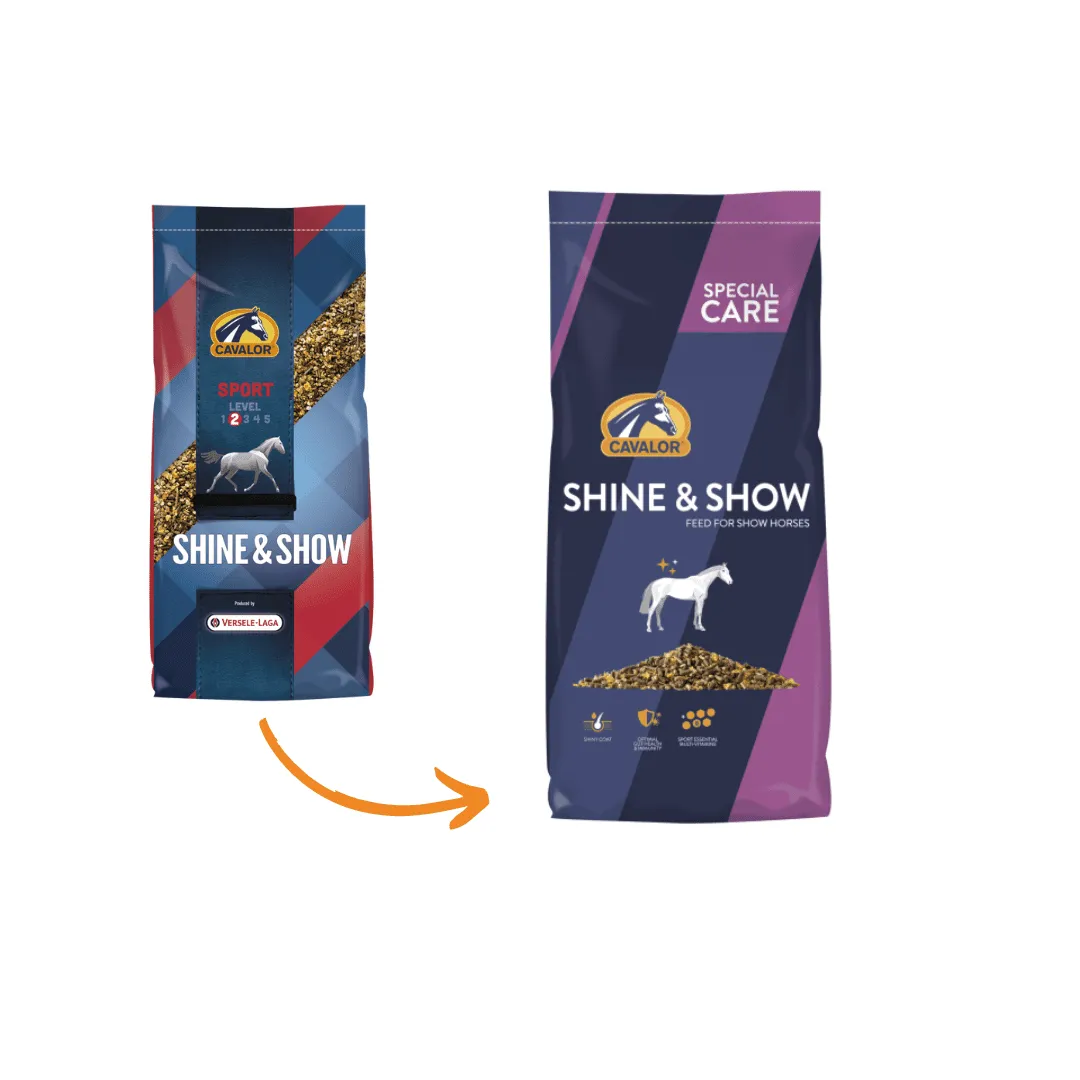 Shine & Show Export 20kg