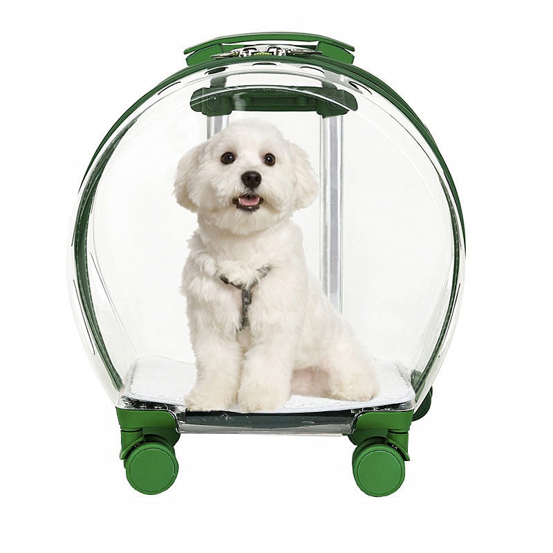 No Door Transparent Pet Trolley Case (Cat within 6.5kgs & Dog within 5kgs) - Green