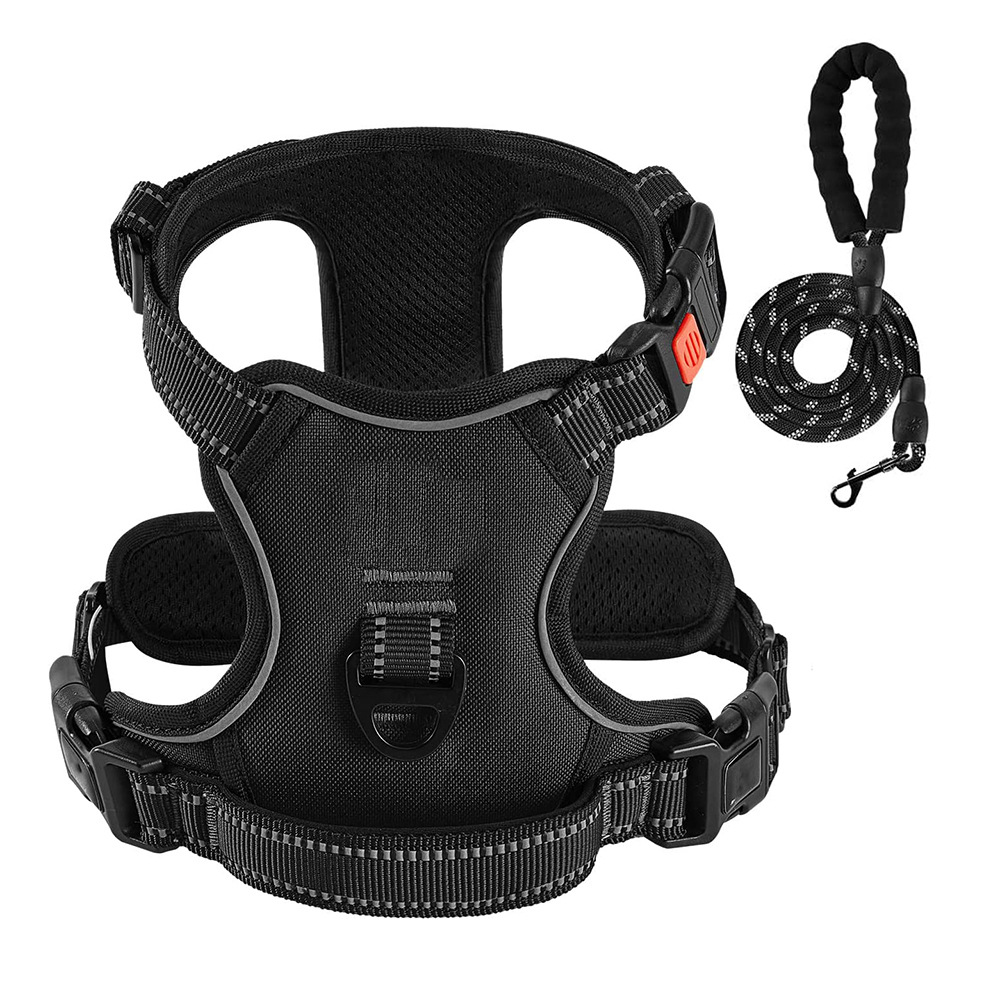 Harness with Leash S: Chest size 38-50cm