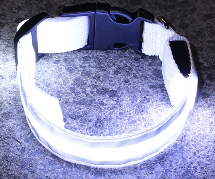 Dog Rechargeable LED Collar S: W2.5cm, Length 35cm-43cm