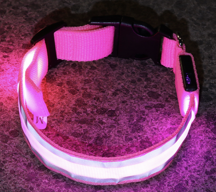 Dog Rechargeable LED Collar L: W2.5cm, Length 45cm-52cm