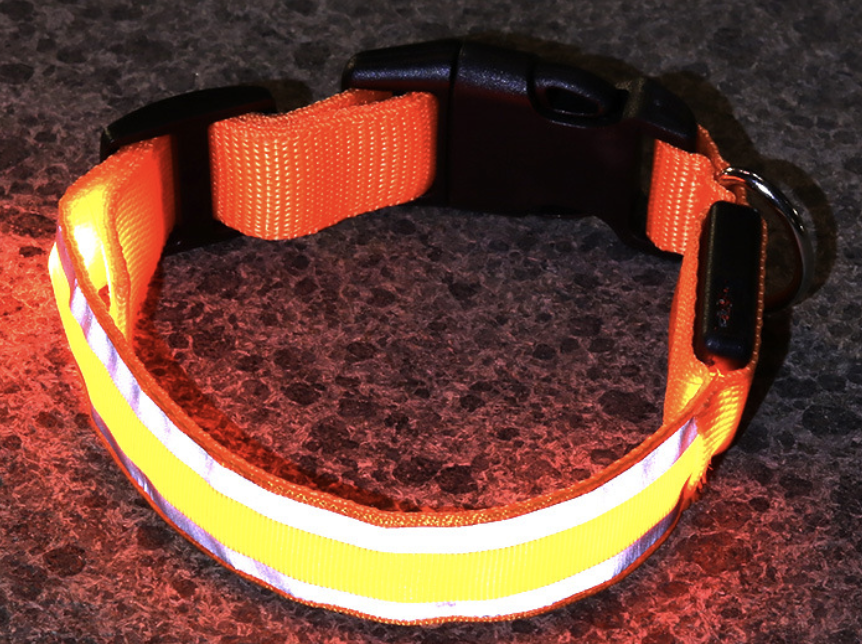 Dog Rechargeable LED Collar XL: W2.5cm, Length 52cm-60cm