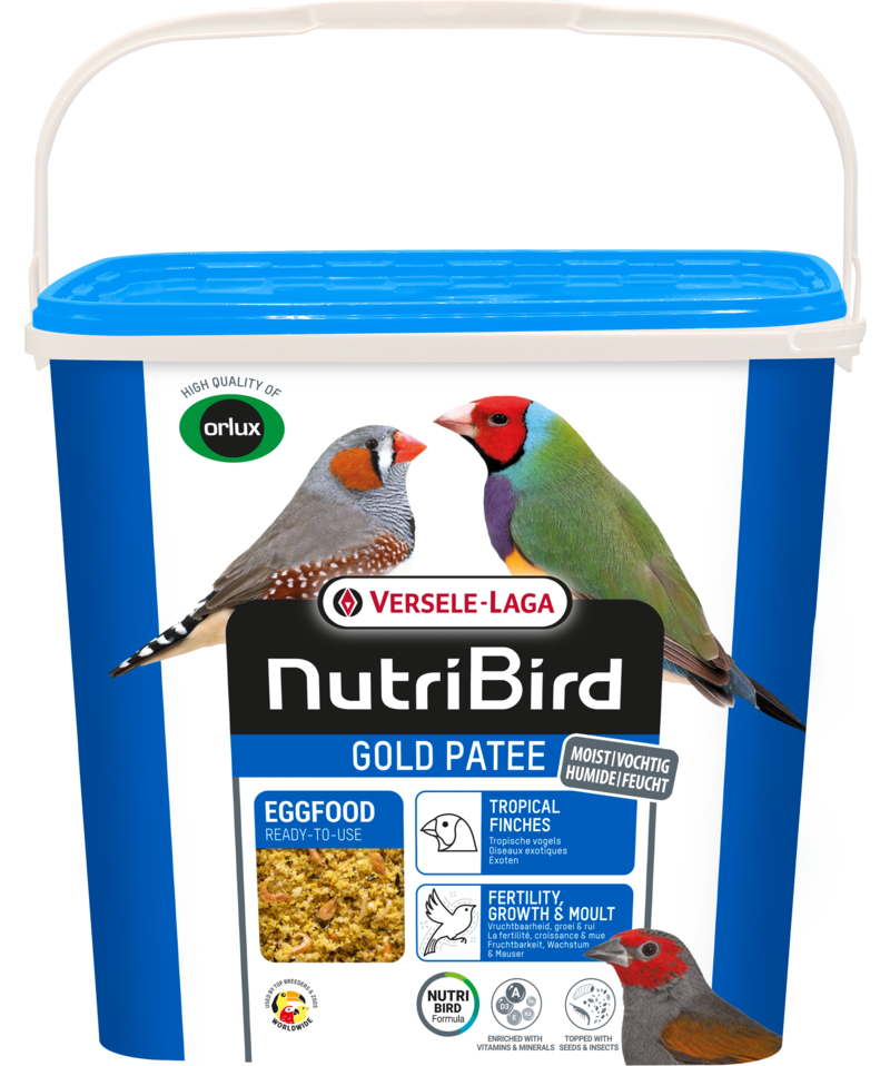 Orlux Eggfood dry large parakeets & parrots