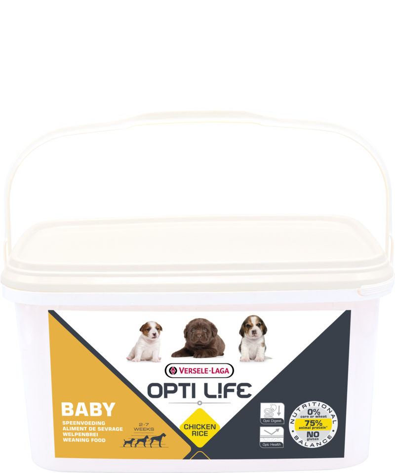 Orlux Eggfood dry large parakeets & parrots