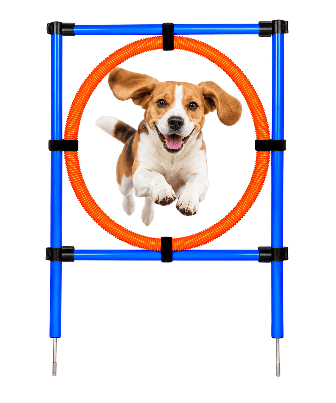 Bully Sticks