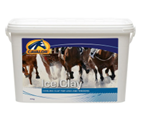 Ice Clay 10kg