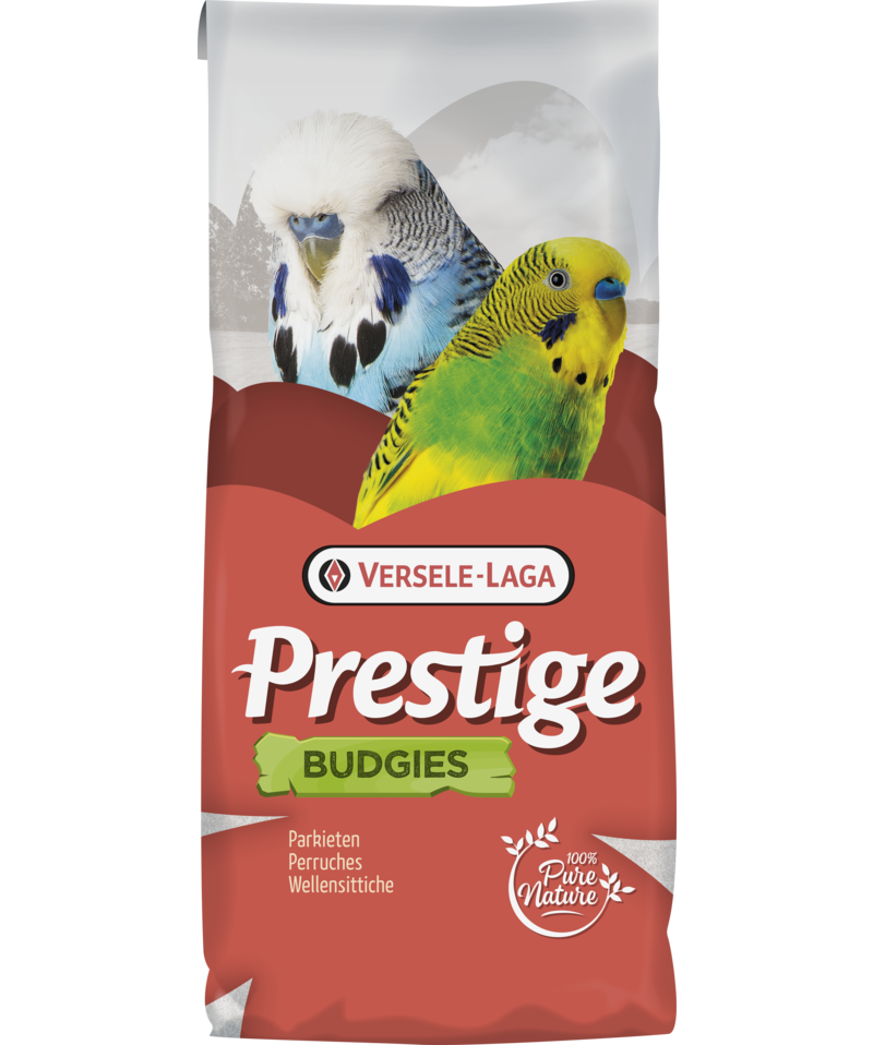 Budgie 20kg