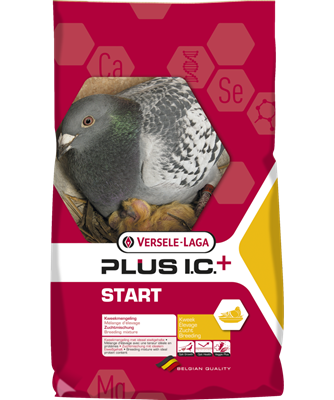  Start Plus IC Expert 20kg
