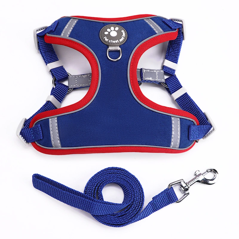 Pet Dog Cat Harness Leash Set - Blue L size, L120cm*W1.5cm
