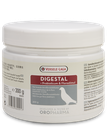 [460091] Digestal 300 Gm