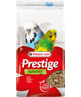 Parakeet Promo 4.4kg