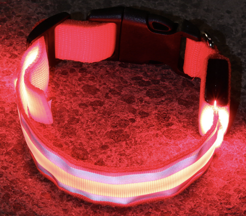 Dog Rechargeable LED Collar M: W2.5cm, Length 40cm-48cm