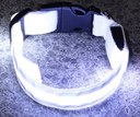 [692535404860L] Dog Rechargeable LED Collar L: W2.5cm, Length 45cm-52cm