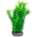 [405916] Aq. Plant Plastic Srilanka 3S