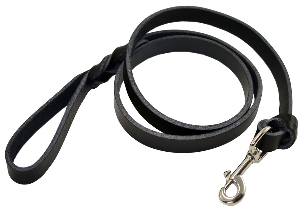 Asp Training Leash Black 250cm