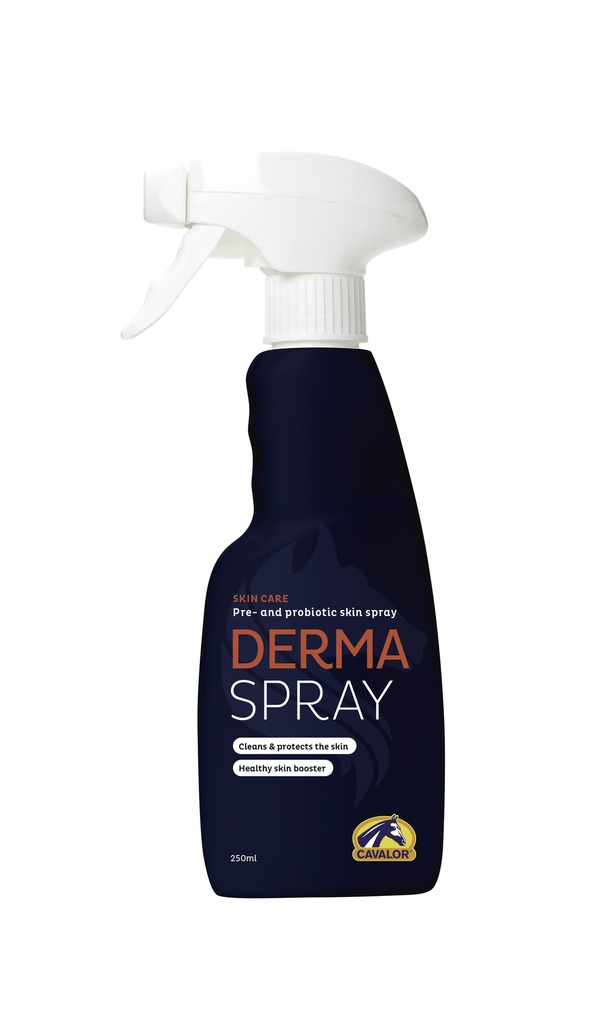 Derma Spray 250 ml