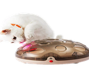 [6987145140027] Interactive Toy Crazy Play And Mouse Training