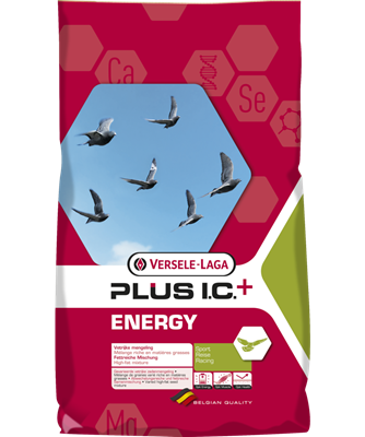 Energy Plus I.C.+  Expert 18KG