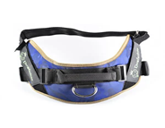 GF Dog Horseback band  IS9 L             