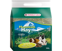 [424185] Mountain Hay Mint Herbs 500 GM