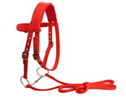 PP Horse Halter Large Red
