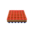 [1158202025115] Plastic Egg Tray Green