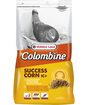 Succes-Corn I.C.3kg