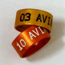 [AJU66] Yellow-U New