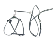 Parrot Harness Large Grey