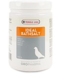 [460119] Ideal Bath Salt 1kg