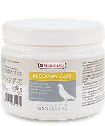 [460123] Recovery 350Caps